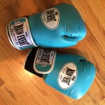 My boxing gloves